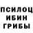 Псилоцибиновые грибы мухоморы Nana Didishvili