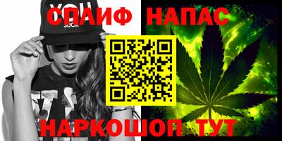 индика Беслан