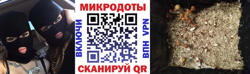 Псилоцибиновые грибы мицелий  где продают   omg как войти  Верхняя Пышма 