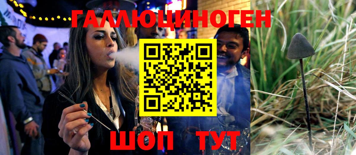 Галлюциногенные грибы MAGIC MUSHROOMS Верхняя Пышма