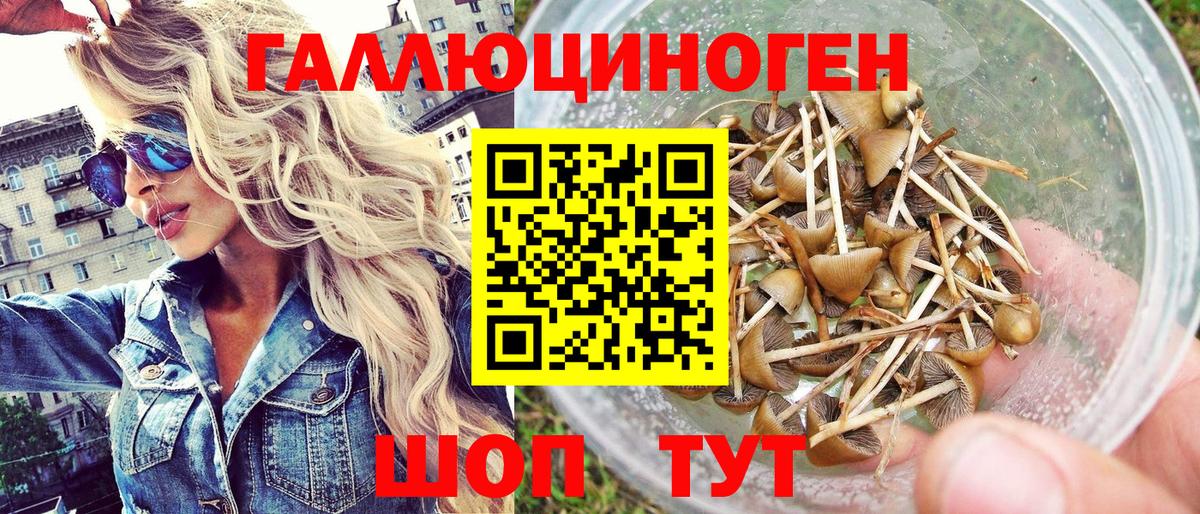 купить   Верхняя Пышма  Псилоцибиновые грибы мухоморы 
